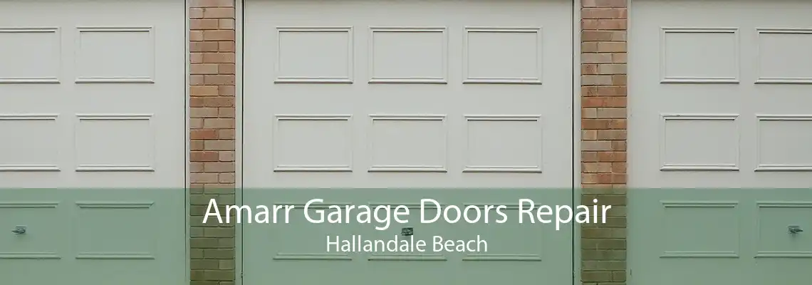 Amarr Garage Doors Repair Hallandale Beach