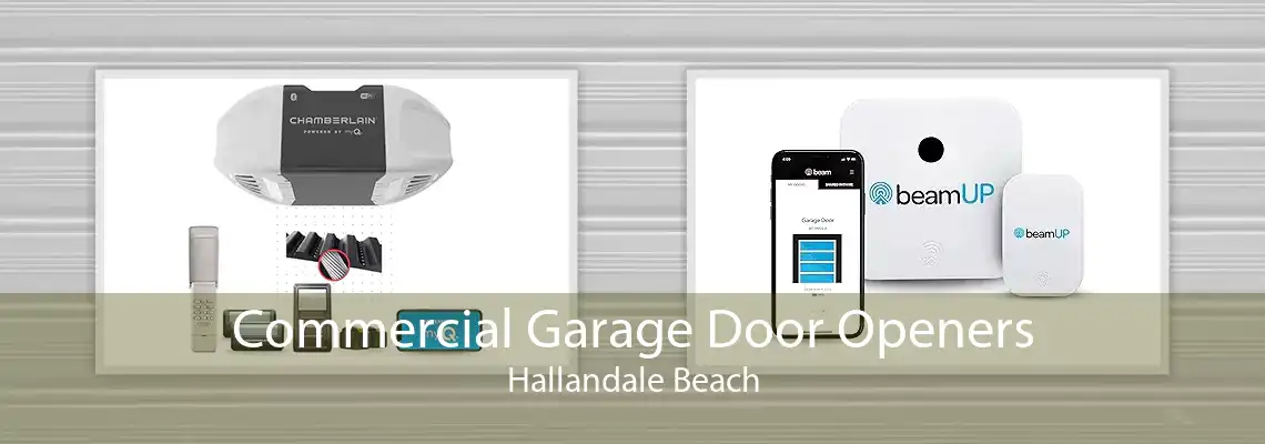 Commercial Garage Door Openers Hallandale Beach