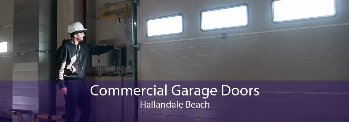 Commercial Garage Doors Hallandale Beach