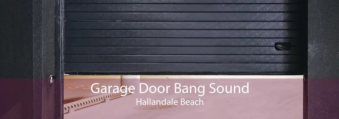 Garage Door Bang Sound Hallandale Beach