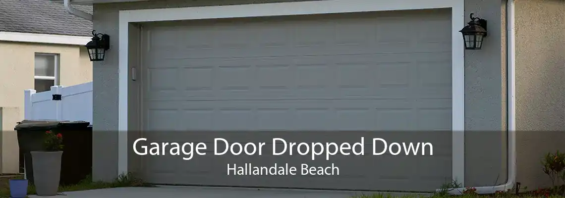 Garage Door Dropped Down Hallandale Beach