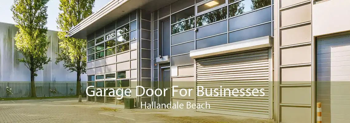 Garage Door For Businesses Hallandale Beach
