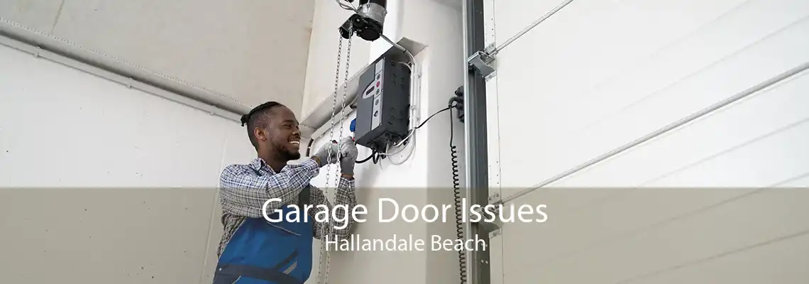 Garage Door Issues Hallandale Beach