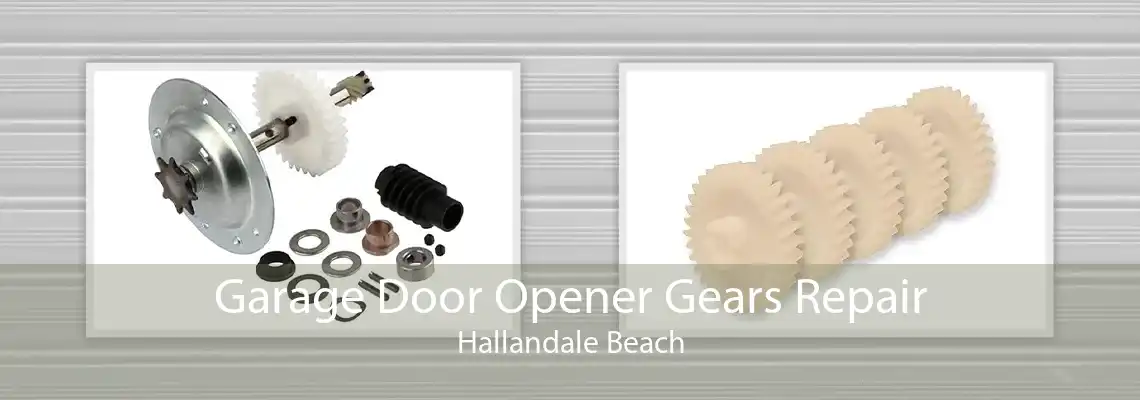 Garage Door Opener Gears Repair Hallandale Beach