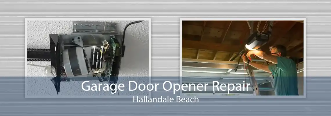 Garage Door Opener Repair Hallandale Beach