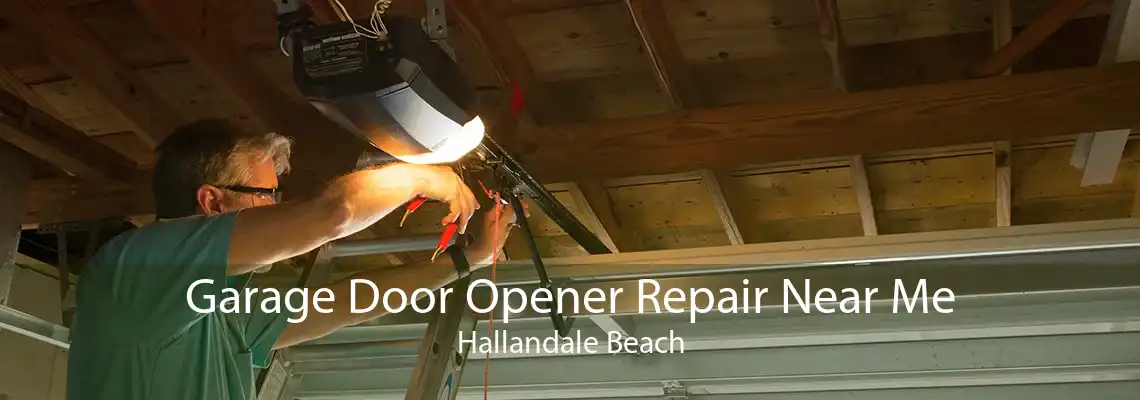 Garage Door Opener Repair Near Me Hallandale Beach