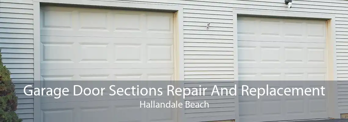 Garage Door Sections Repair And Replacement Hallandale Beach