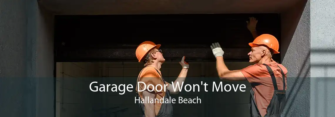 Garage Door Won't Move Hallandale Beach