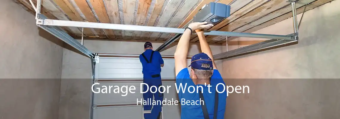 Garage Door Won't Open Hallandale Beach