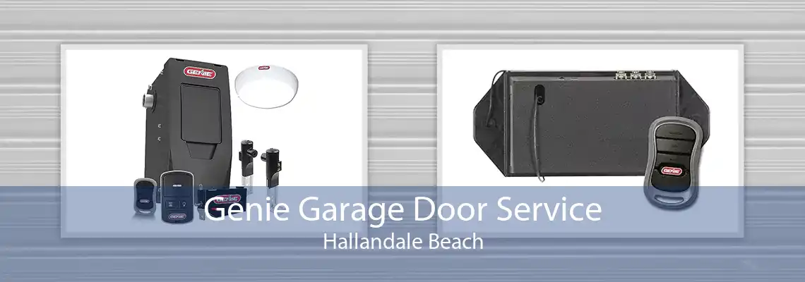 Genie Garage Door Service Hallandale Beach