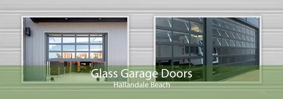 Glass Garage Doors Hallandale Beach
