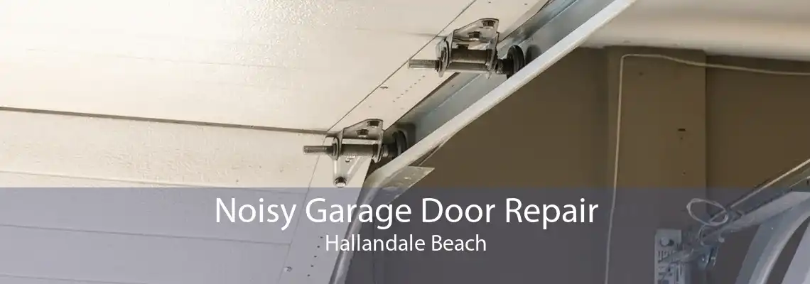 Noisy Garage Door Repair Hallandale Beach