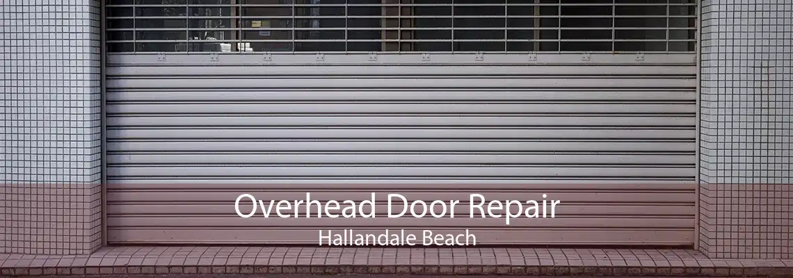 Overhead Door Repair Hallandale Beach