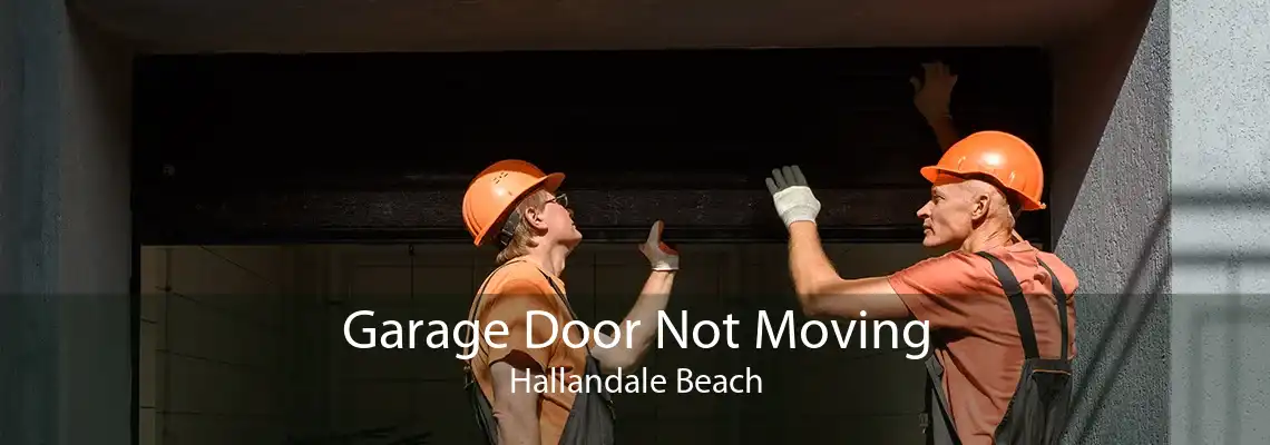 Garage Door Not Moving Hallandale Beach